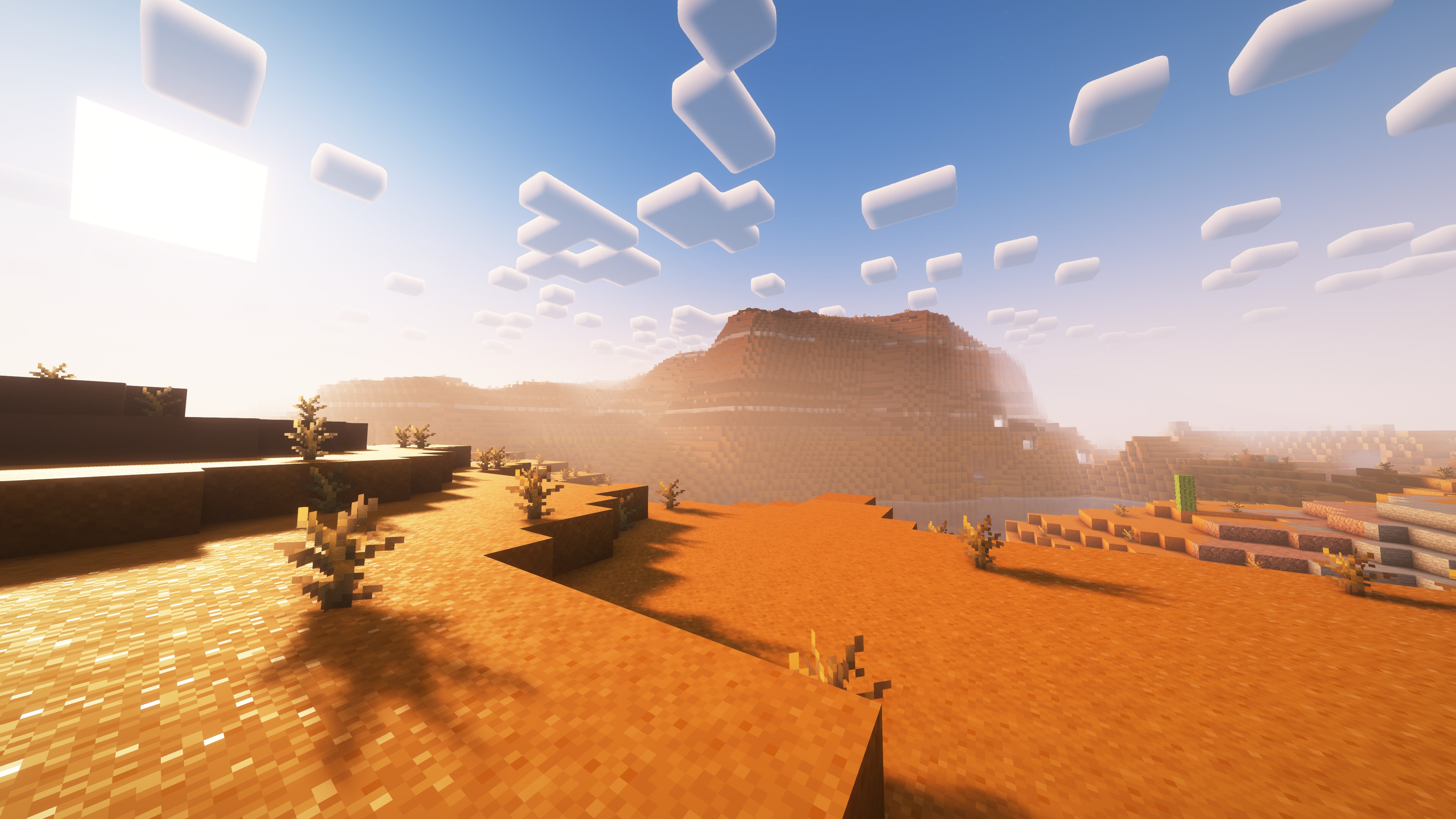 panorama1